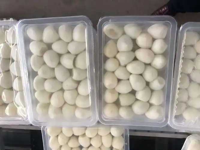 整線解決方案，優(yōu)化生產(chǎn)流程：鵪鶉蛋包裝神器來襲