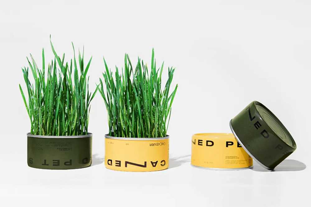 智造綠色活力，賦能高效未來(lái)——呂工機(jī)械全自動(dòng)杯裝貓草生產(chǎn)線