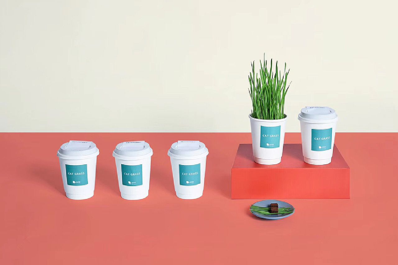貓草杯02.jpg